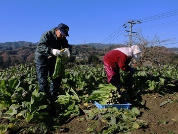 長野県泰阜村　地域おこし協力隊募集-7