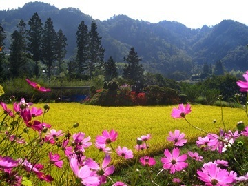 長野県泰阜村　地域おこし協力隊募集-4