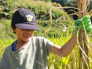長野県泰阜村　地域おこし協力隊募集-3