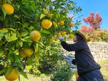 長野県泰阜村　地域おこし協力隊募集-8