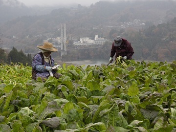 長野県泰阜村　地域おこし協力隊募集-5
