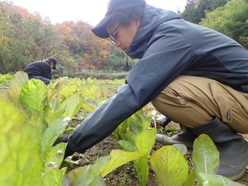 長野県泰阜村　地域おこし協力隊募集-6