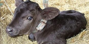 株式会社美土里耕産