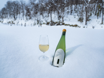 株式会社フィールドオブドリームスワイナリー/株式会社余市川ワイナリー倶楽部-top