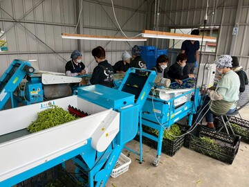 株式会社げんぞう-5