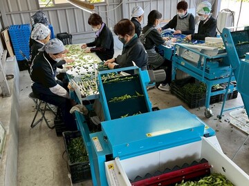 株式会社げんぞう-4