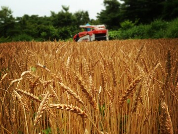 エコファームささかみ株式会社-3