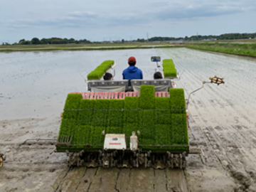 穂結び合同会社-3