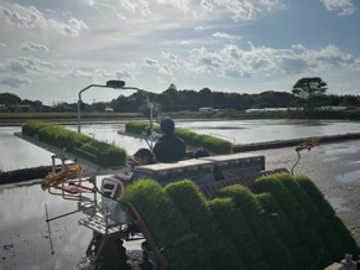 穂結び合同会社-2