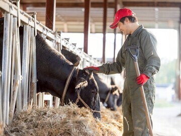 有限会社コスモス-top