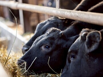 有限会社コスモス-2