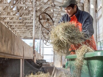 有限会社コスモス-6