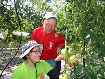 広島県神石高原町 トマト新規就農者研修生募集-3