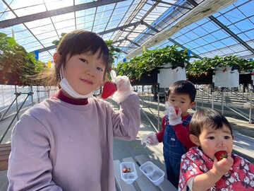 れっどぱーる-1