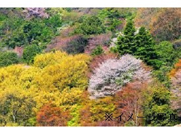 北海道南富良野町　地域おこし協力隊募集-2