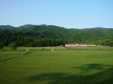 レースホース牧場株式会社-top