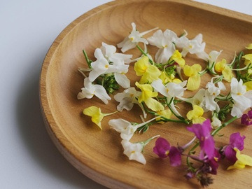 三菜果農園(三和油化工業株式会社)-8