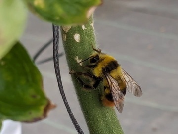 三菜果農園(三和油化工業株式会社)-5