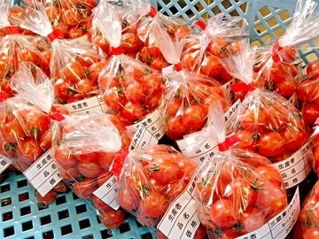 三菜果農園(三和油化工業株式会社)-4