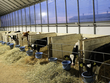 有限会社鹿追町デーリィーサービスカンパニィ-5