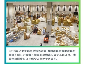 東京シティ青果株式会社-2