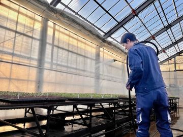 株式会社テイエス・ナーサリ関西-5