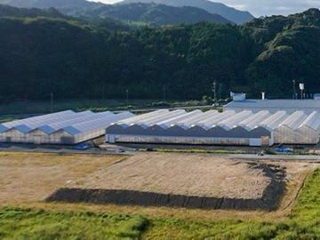 山口県荻市×野菜/法人【42848】-1