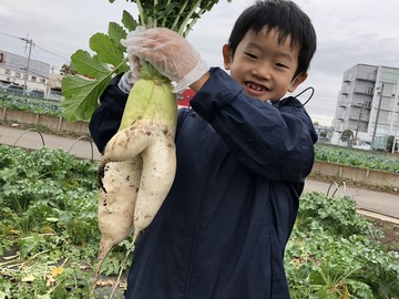 三枝(みえだ)農園-7