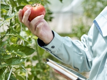 丸善薬品産業株式会社-2