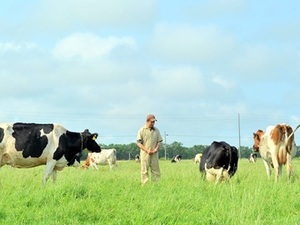 北海道天塩町　地域おこし協力隊募集-top