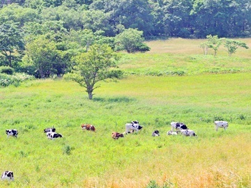 北海道天塩町　地域おこし協力隊募集-4