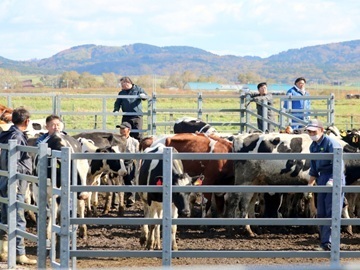 北海道天塩町　地域おこし協力隊募集-1