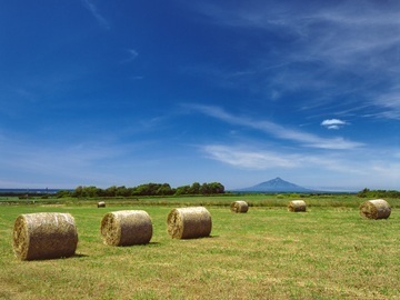 北海道天塩町　地域おこし協力隊募集-6