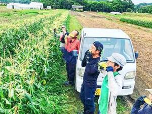 岡山県瀬戸内市×野菜・果樹/法人【42854】-top