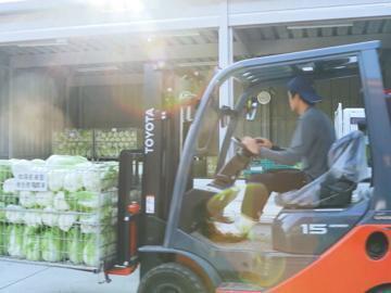 岡山県瀬戸内市×野菜・果樹/法人【42854】-2