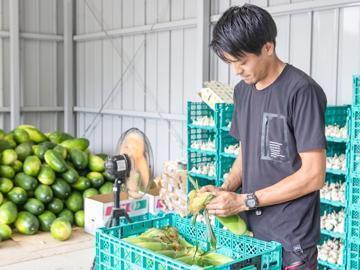 岡山県瀬戸内市×野菜・果樹/法人【42854】-1