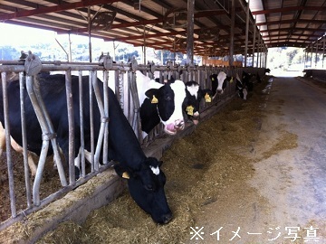 北海道士幌町×酪農/個人【42856】-1