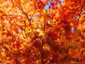 有限会社樹松園-2