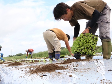 中山ファーム-3