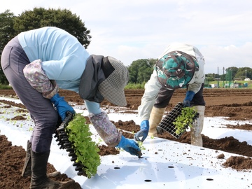 中山ファーム-6