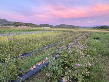 エムアイ・ソリューション株式会社