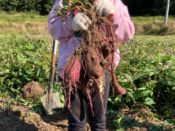 エムアイ・ソリューション株式会社-1