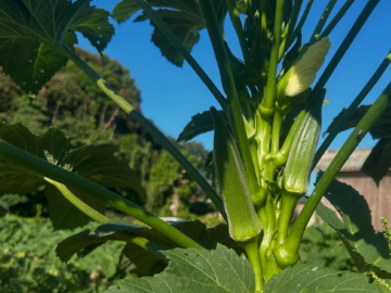 エムアイ・ソリューション株式会社-4