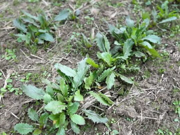 エムアイ・ソリューション株式会社-6