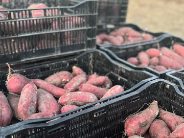 エムアイ・ソリューション株式会社-7