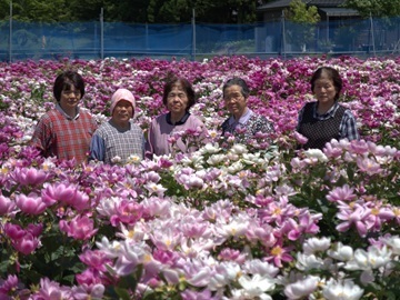 有限会社ドリファー花泉-3