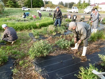 有限会社ドリファー花泉-5