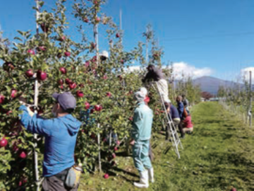 1月17日(土)長野県 農業法人等就業フェア-2