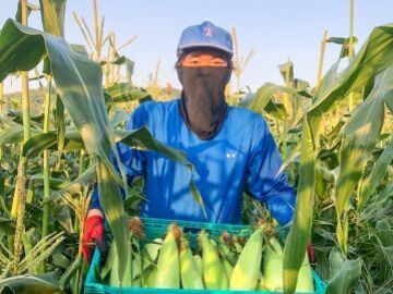 株式会社髙田農園-7