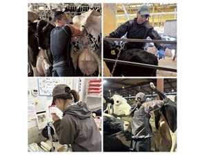 有限会社　エル・ファーム・サカキバラ